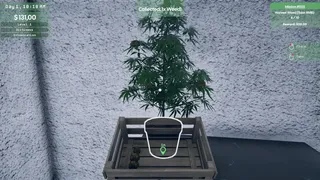 Скриншот 4 к игре Weed Supermarket Simulator: Prologue