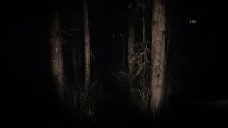 Скриншот 7 к игре STILL BOUND
