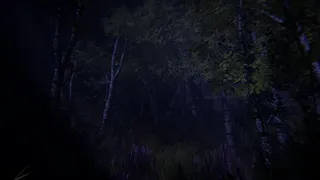 Скриншот 8 к игре STILL BOUND
