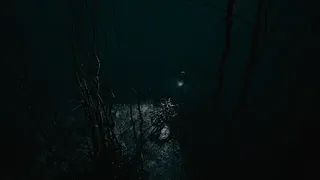 Скриншот 2 к игре Residual Light
