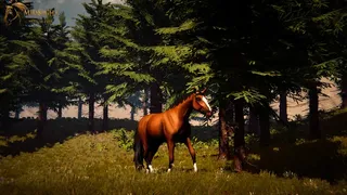 Скриншот 1 к игре Galloping Dream
