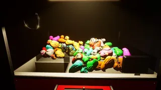 Скриншот 4 к игре Duck Collector