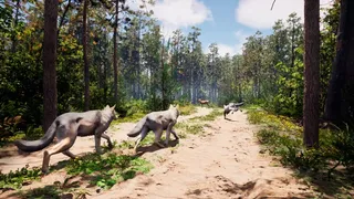 Скриншот 2 к игре Susia - Wolf Life Simulator