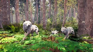 Скриншот 3 к игре Susia - Wolf Life Simulator