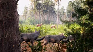 Скриншот 4 к игре Susia - Wolf Life Simulator