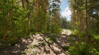 Скриншот 6 к игре Susia - Wolf Life Simulator