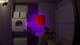 Скриншот 6 к игре Silent home