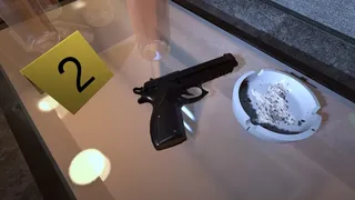 Скриншот 2 к игре Forensics: Crime Scene Detective