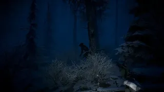 Скриншот 1 к игре The Pale Mimic