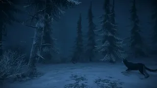 Скриншот 7 к игре The Pale Mimic