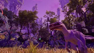 Скриншот 2 к игре Mystic Grove