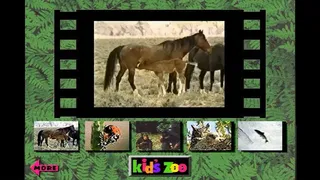 Скриншот 7 к игре Kid's Zoo: A Baby Animal Adventure