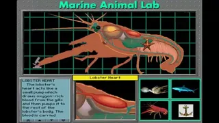 Скриншот 4 к игре Undersea Adventure