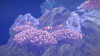 Скриншот 3 к игре The Fish Room