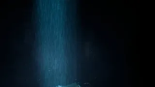 Скриншот 7 к игре Bloody Moon - First Fear