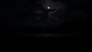 Скриншот 1 к игре Deep in the Fields