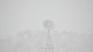 Скриншот 3 к игре Deep in the Fields