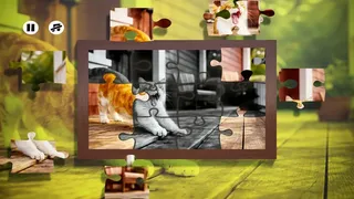 Скриншот 2 к игре Puzzles