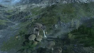 Скриншот 4 к игре Skara
