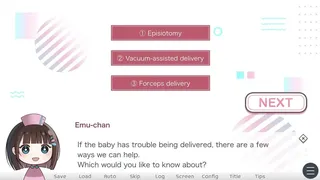 Скриншот 3 к игре First Steps in Childbirth（はじめての出産）