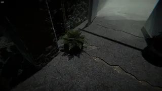 Скриншот 2 к игре The Presence Ritual