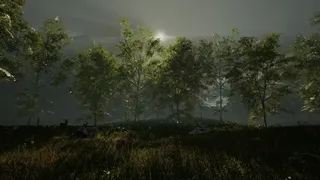 Скриншот 1 к игре Veil Phane - Path to Redemption