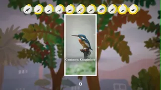 Скриншот 5 к игре Junior Birder Adventure