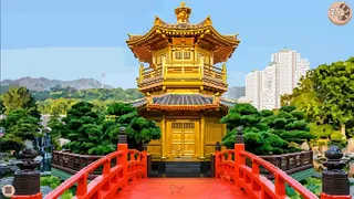 Скриншот 3 к игре Hidden Raccoons in Asia