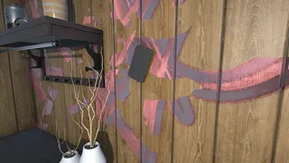Скриншот 8 к игре Budget Renovation Simulator