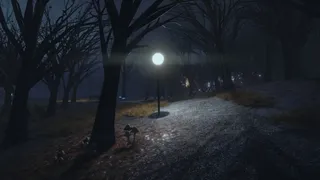 Скриншот 2 к игре The Night Walk