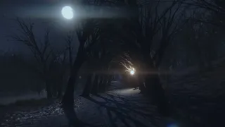 Скриншот 7 к игре The Night Walk