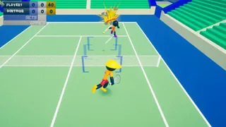 Скриншот 1 к игре Stickman 3D Tennis DELUXE