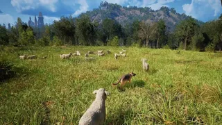 Скриншот 1 к игре Medieval Shepherd