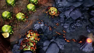 Скриншот 2 к игре Ants Times Infinity