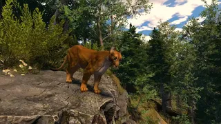 Скриншот 3 к игре Capture The Wild