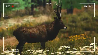 Скриншот 5 к игре Capture The Wild
