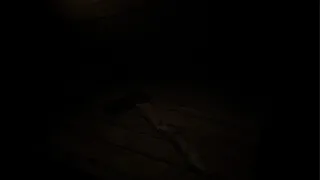 Скриншот 7 к игре It Comes At Night