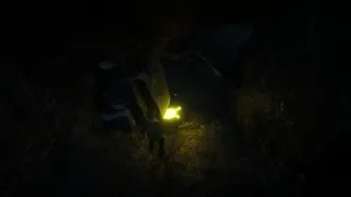 Скриншот 3 к игре Cowpocalypse: After the Lights