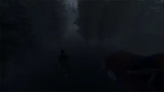 Скриншот 1 к игре Secrets Within Us