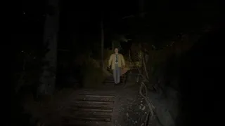 Скриншот 4 к игре SILVER FALLS
