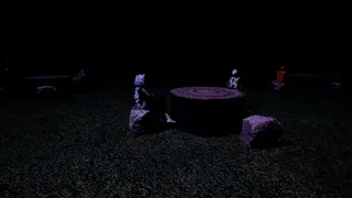 Скриншот 3 к игре Stone Age Assassin