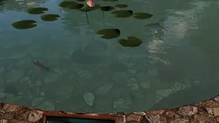 Скриншот 8 к игре 我的钓鱼世界