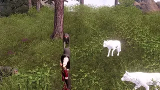 Скриншот 2 к игре The Last Elf