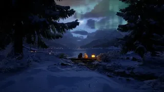 Скриншот 5 к игре Cold Paws