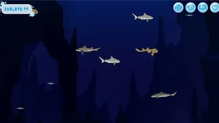 Скриншот 2 к игре Sharkarama