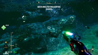 Скриншот 4 к игре Deep Diving Adventures 2