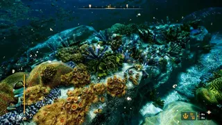 Скриншот 7 к игре Deep Diving Adventures 2