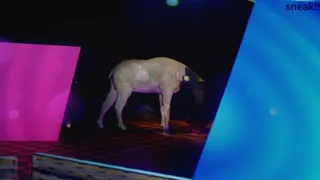 Скриншот 4 к игре Nullogram Blind with horns