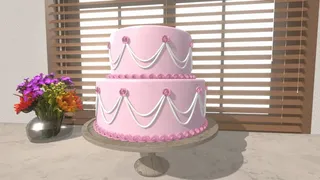 Скриншот 6 к игре Cake Studio