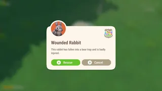 Скриншот 2 к игре Animal Rescue Network